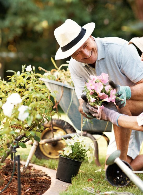 two seniors smile while planting flowers in a garden