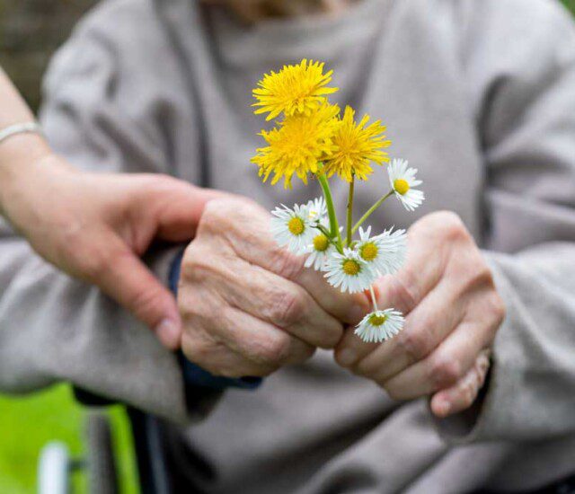 close up of senior in wheelchair holding bright yellow wildflowers, with their caregiver nearby